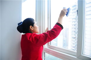 商务服务与家政服务 现代生活与商业发展的双翼